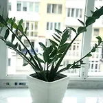 Апартаменты Osapart New Building In A Residential Complex In 
