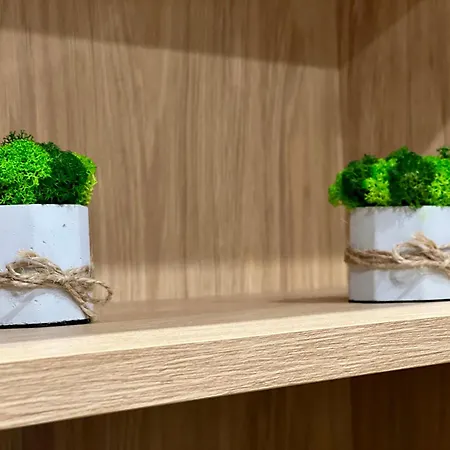 Osapart New Building In A Residential Complex In 