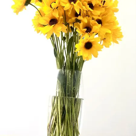 アパート Osapart New Building In A Residential Complex In 