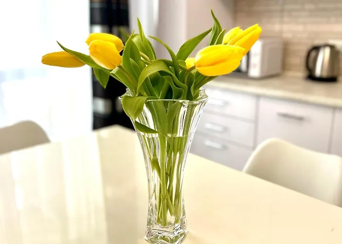 Osapart New Building In A Residential Complex In 