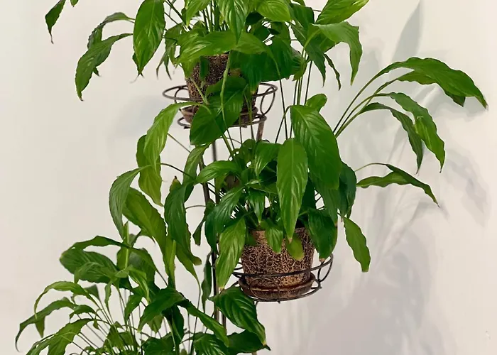 דירה Osapart New Building In A Residential Complex In 