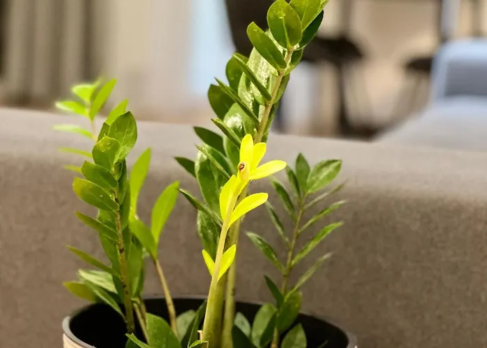 Osapart New Building In A Residential Complex In 