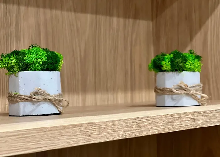 Osapart New Building In A Residential Complex In 