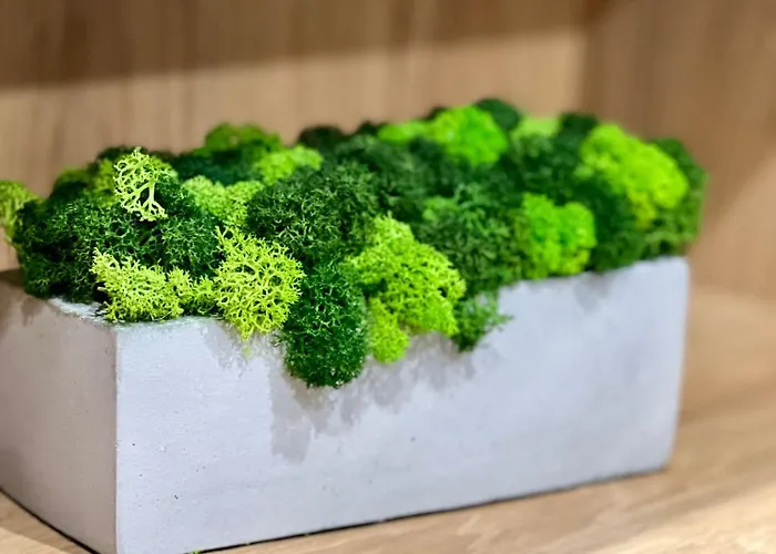 דירה Osapart New Building In A Residential Complex In 