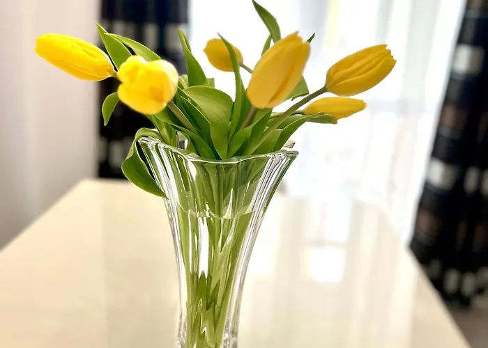 Osapart New Building In A Residential Complex In 