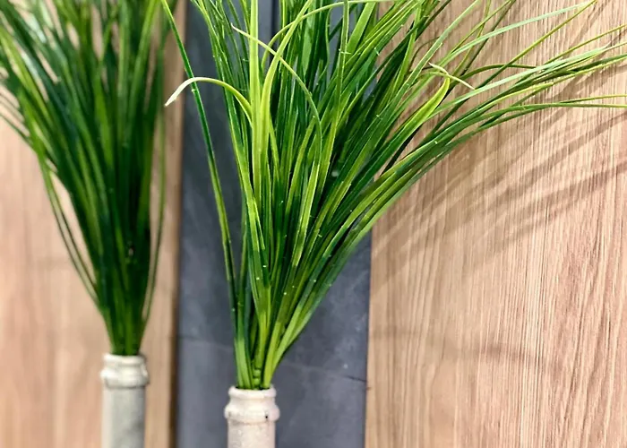 Osapart New Building In A Residential Complex In 