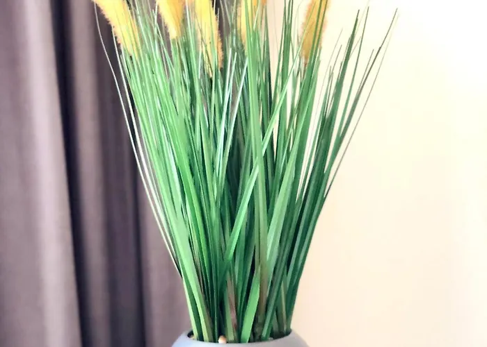 Osapart New Building In A Residential Complex In 