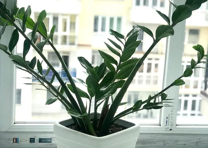 Daire Osapart New Building In A Residential Complex In 