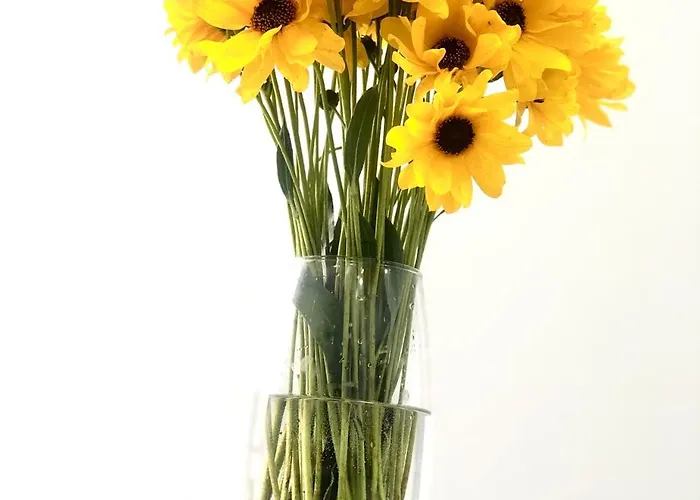 דירה Osapart New Building In A Residential Complex In 